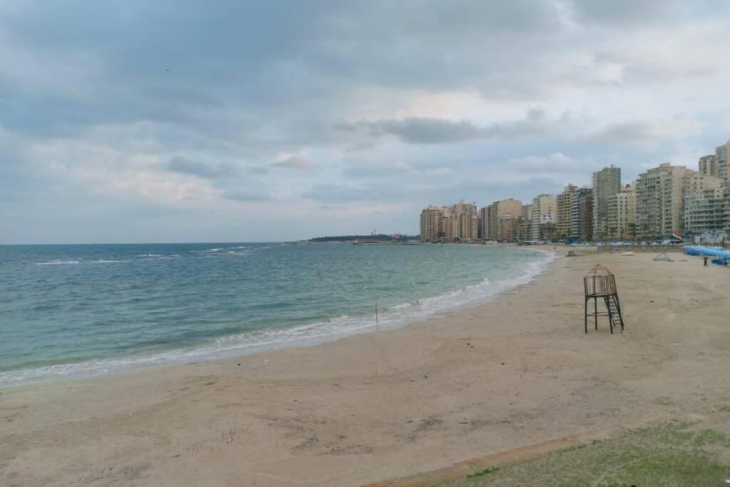 Entire Cozy - Khalid Ibn El Waleed Apartment Alexandria